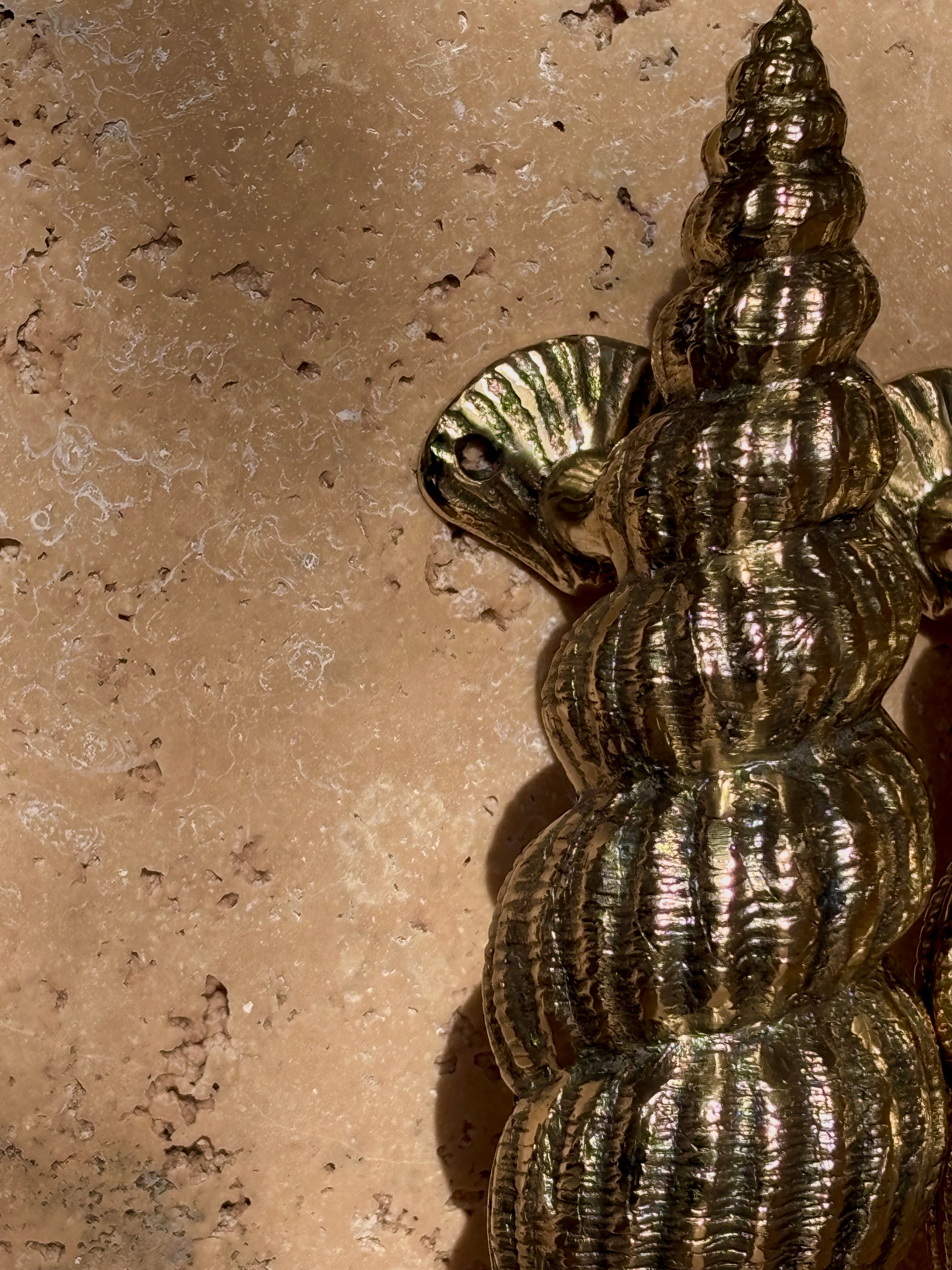 Golden Nautilus Shell Pull Handle