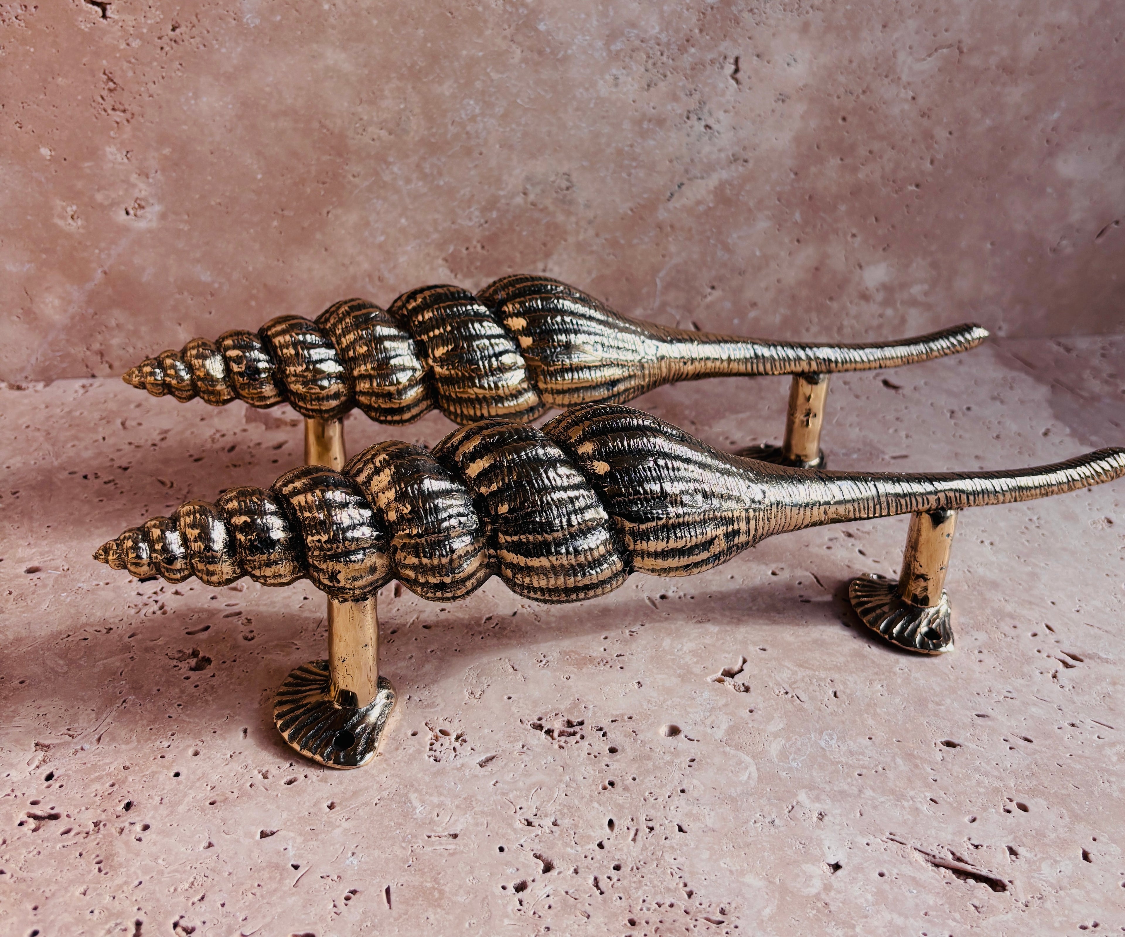 Golden Nautilus Shell Pull Handle