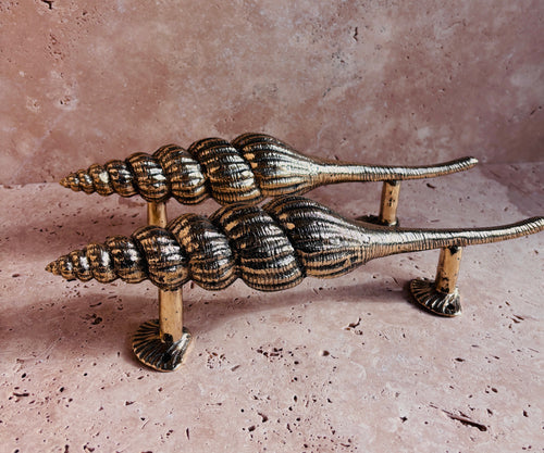Golden Nautilus Shell Pull Handle