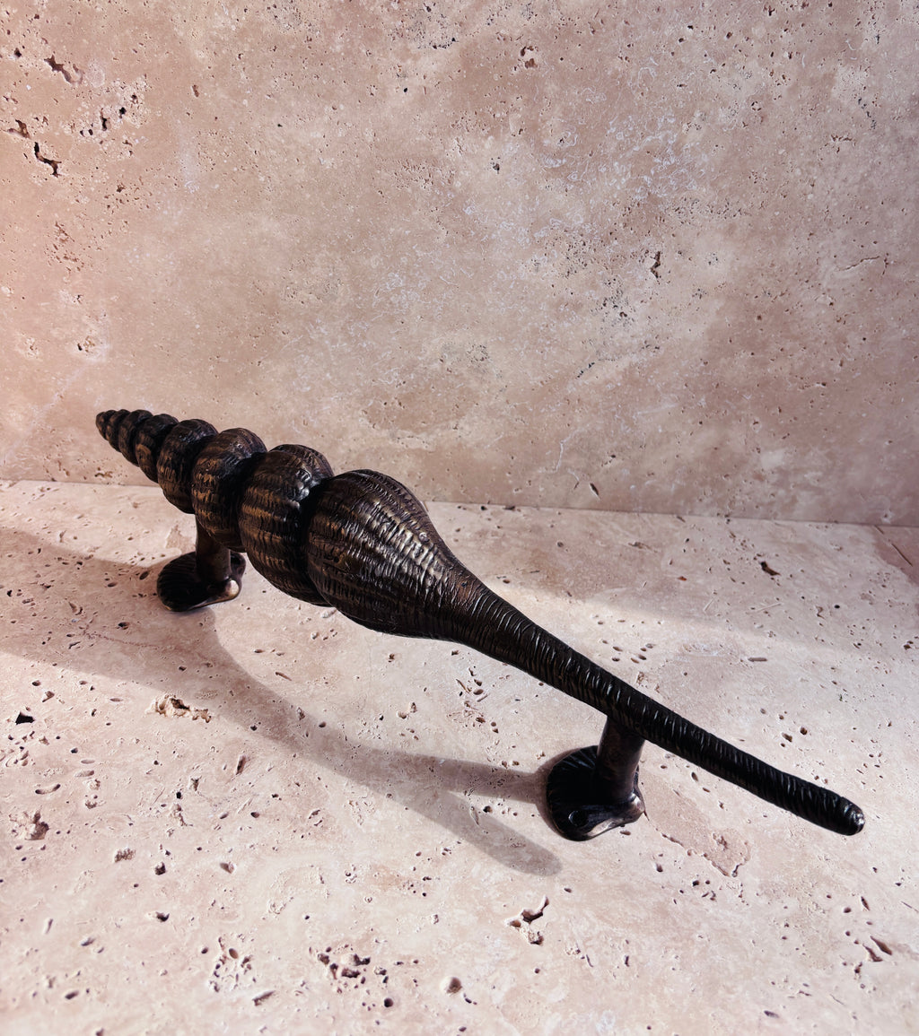 Nautilus Shell Handle