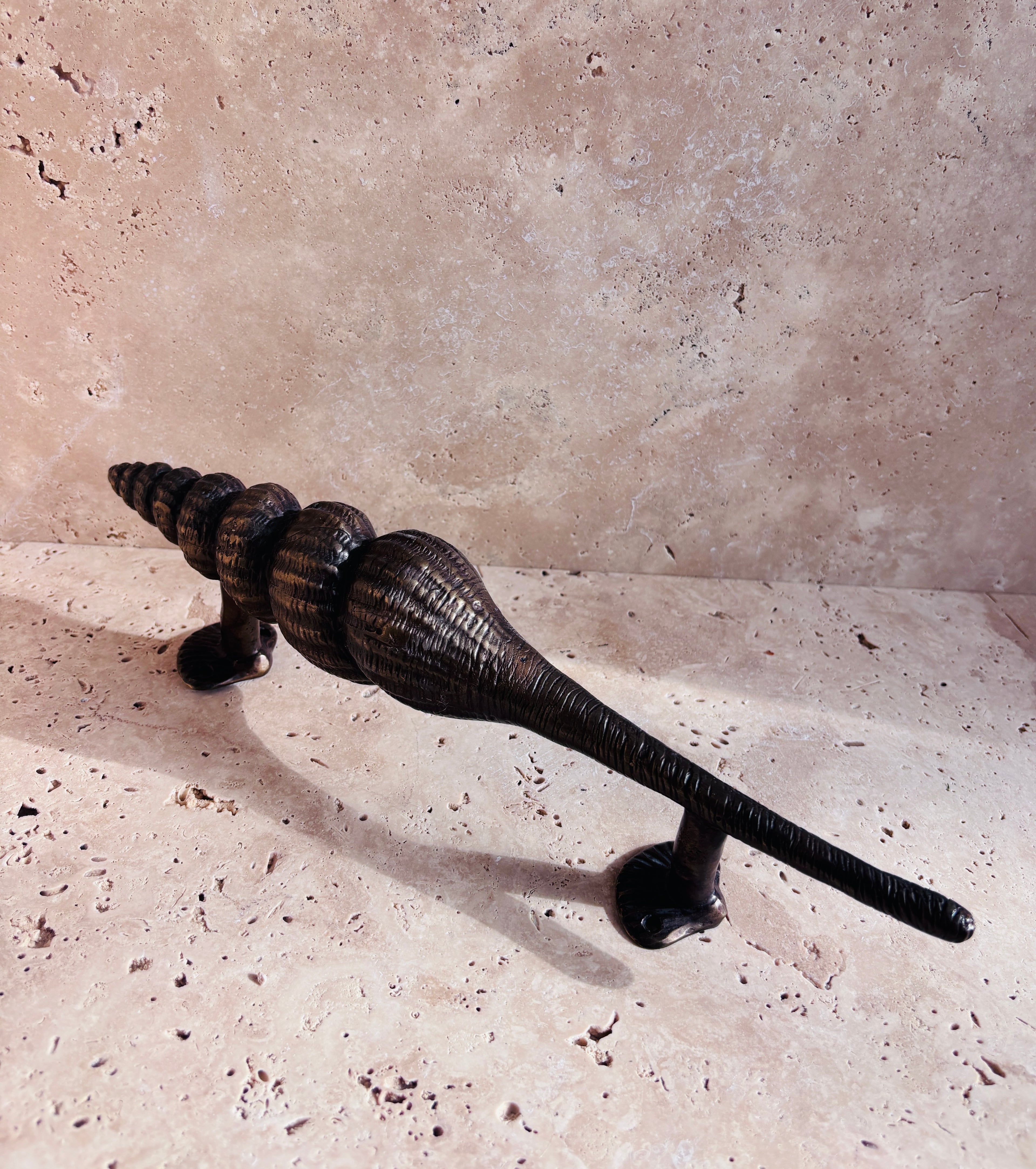 Nautilus Shell Handle
