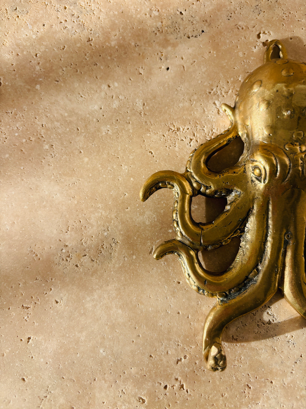 Octopus Wall Hook