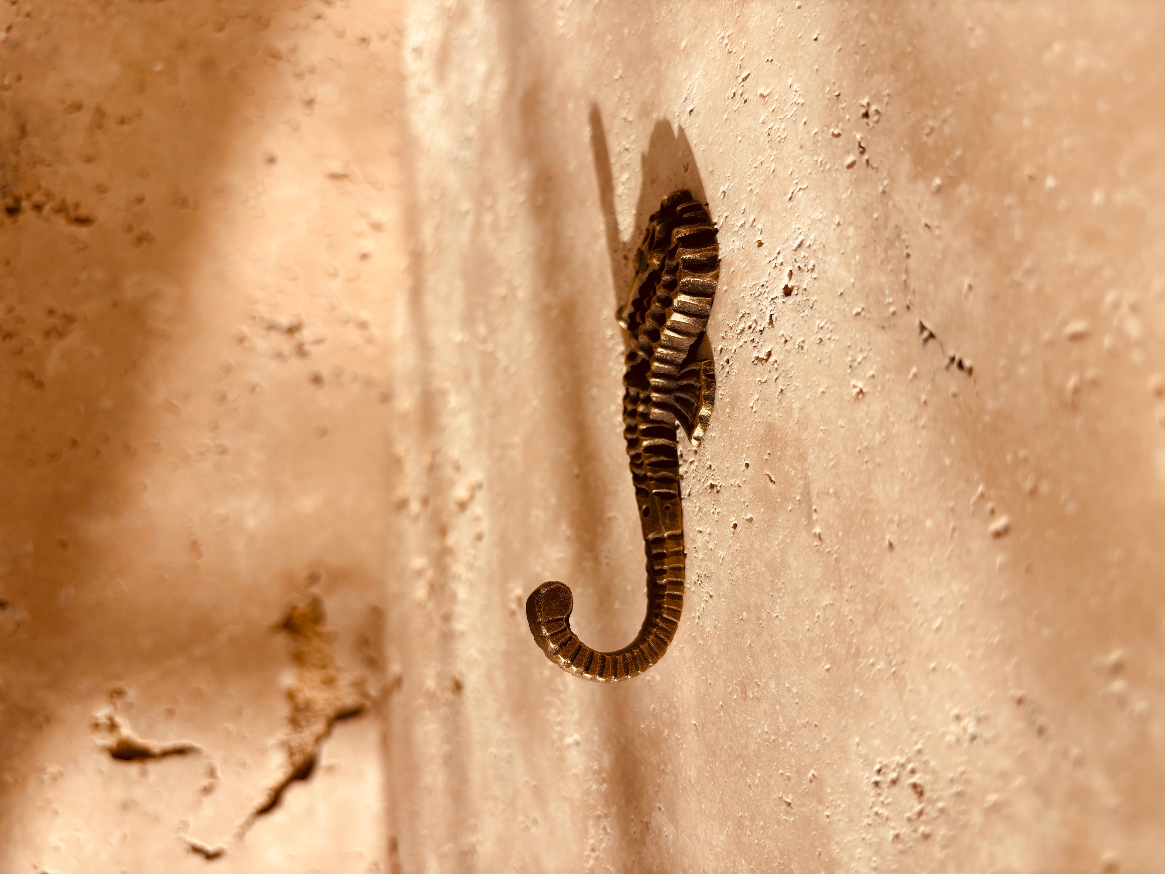 Brass Seahorse Hook | Left Facing
