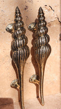 Golden Nautilus Shell Pull Handle