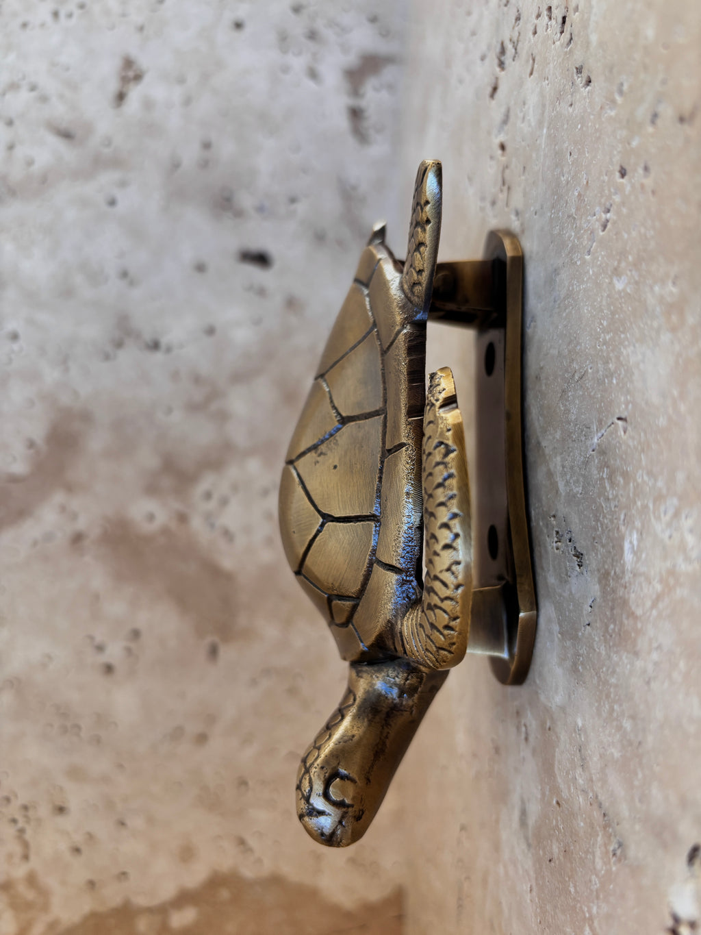 Sea Turtle Brass Door Knocker