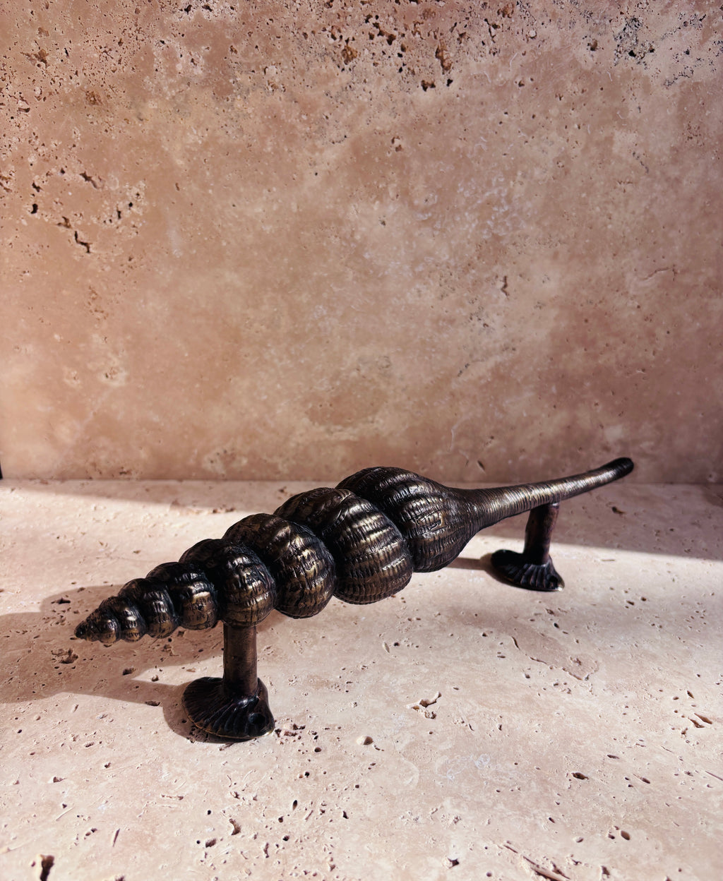 Nautilus Shell Handle