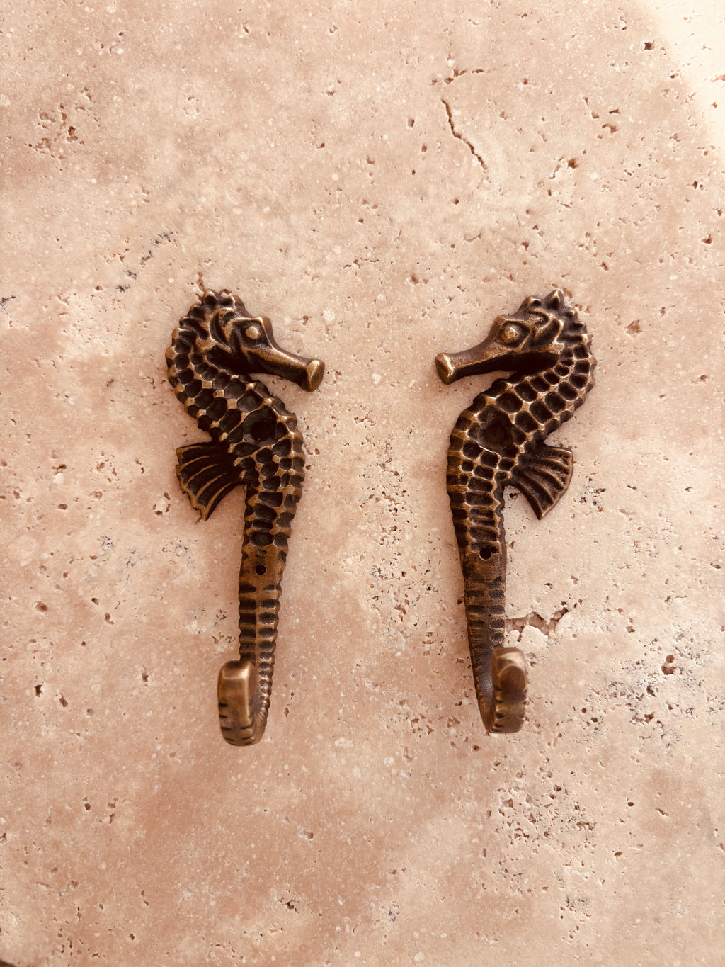 Seahorse Sweethearts