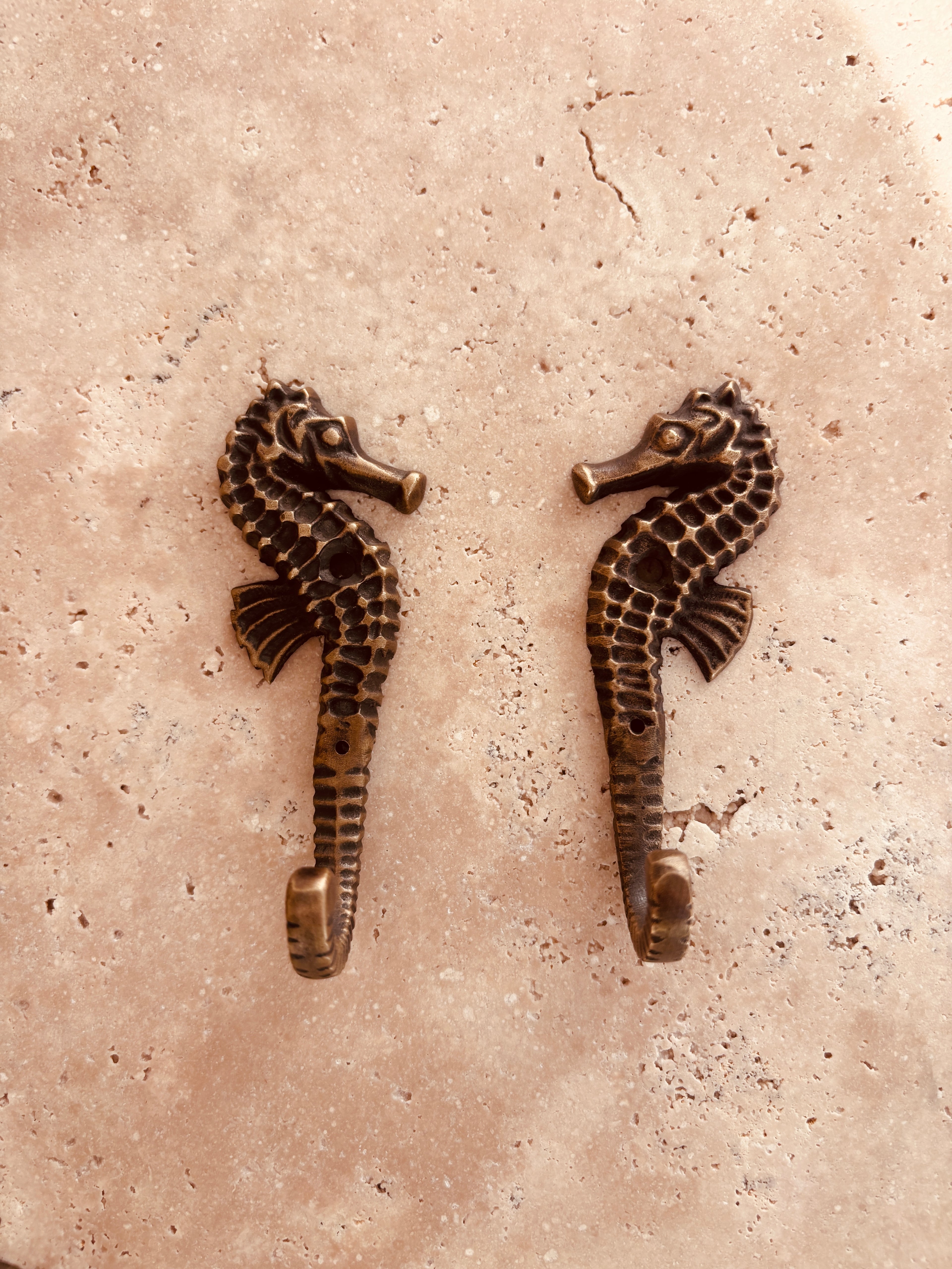 Seahorse Sweethearts