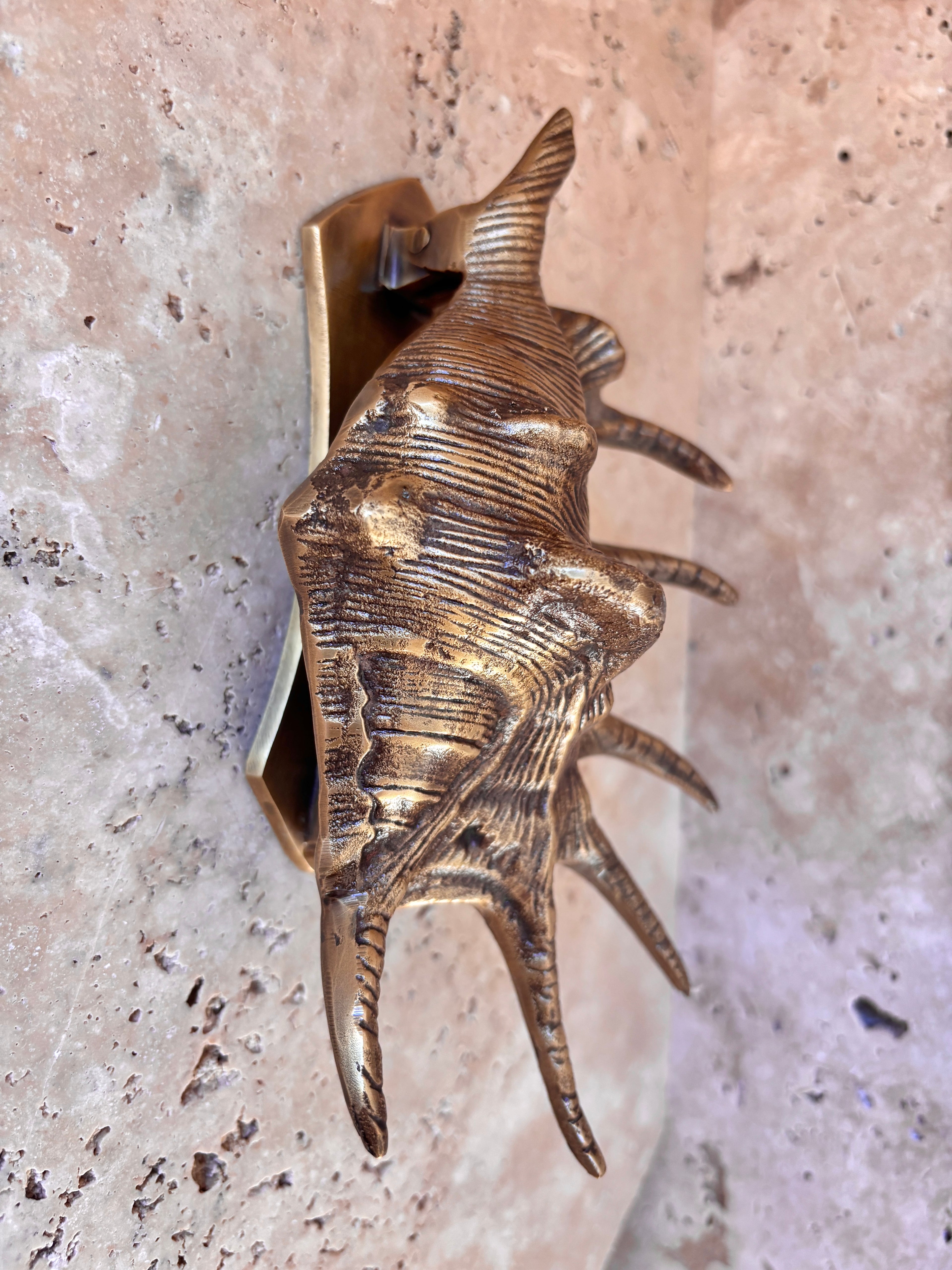 Triton Shell Brass Door Knocker