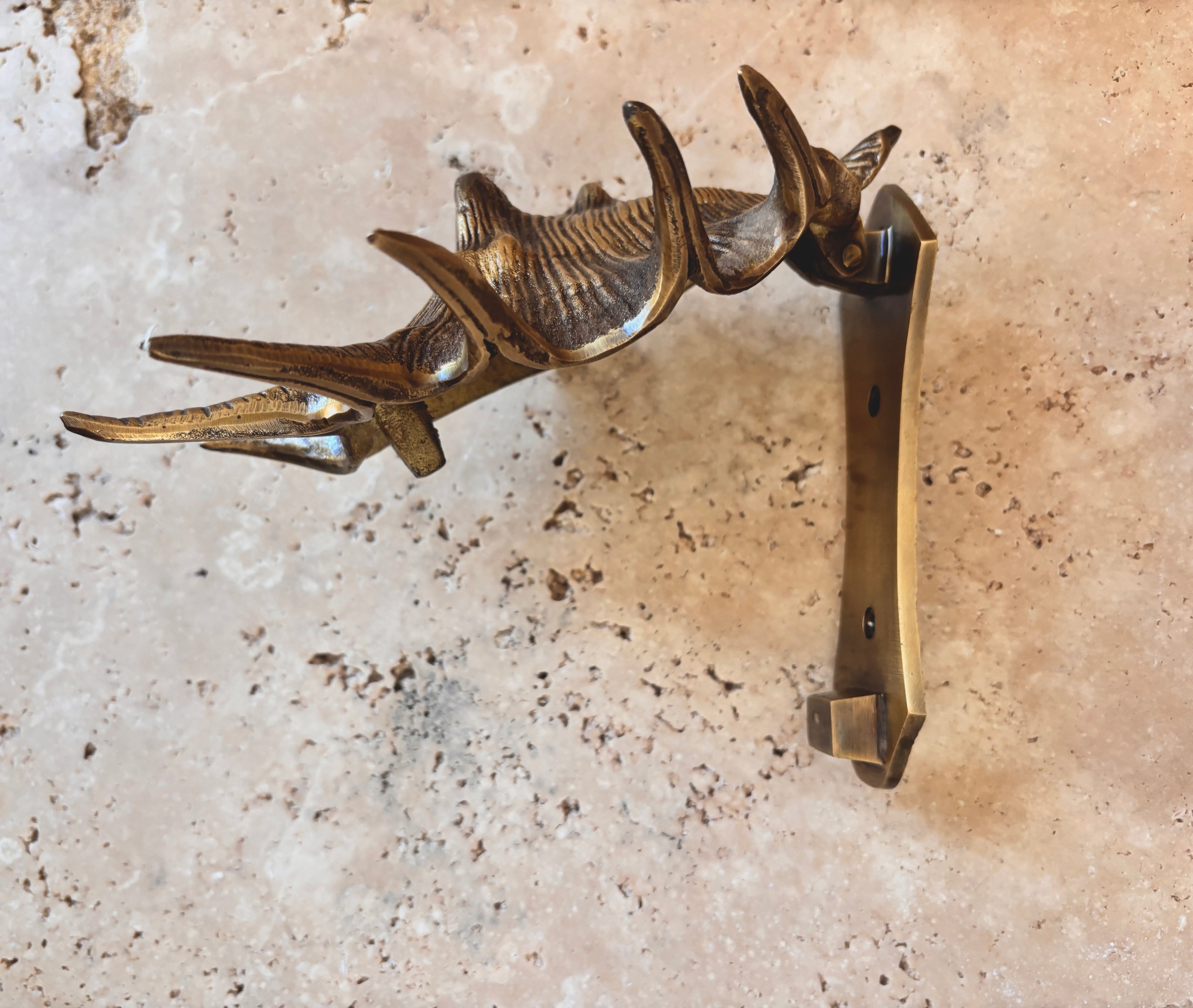 Triton Shell Brass Door Knocker