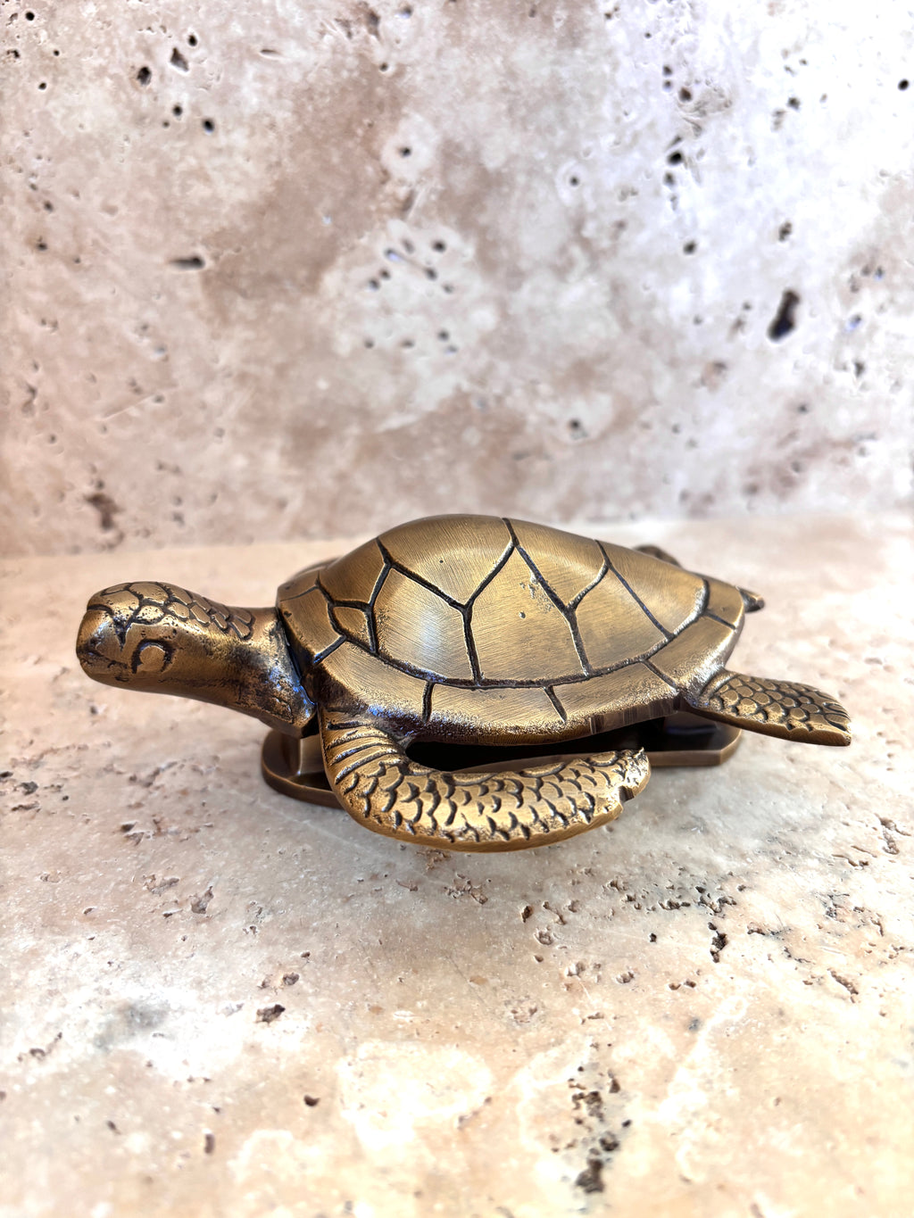 Sea Turtle Brass Door Knocker