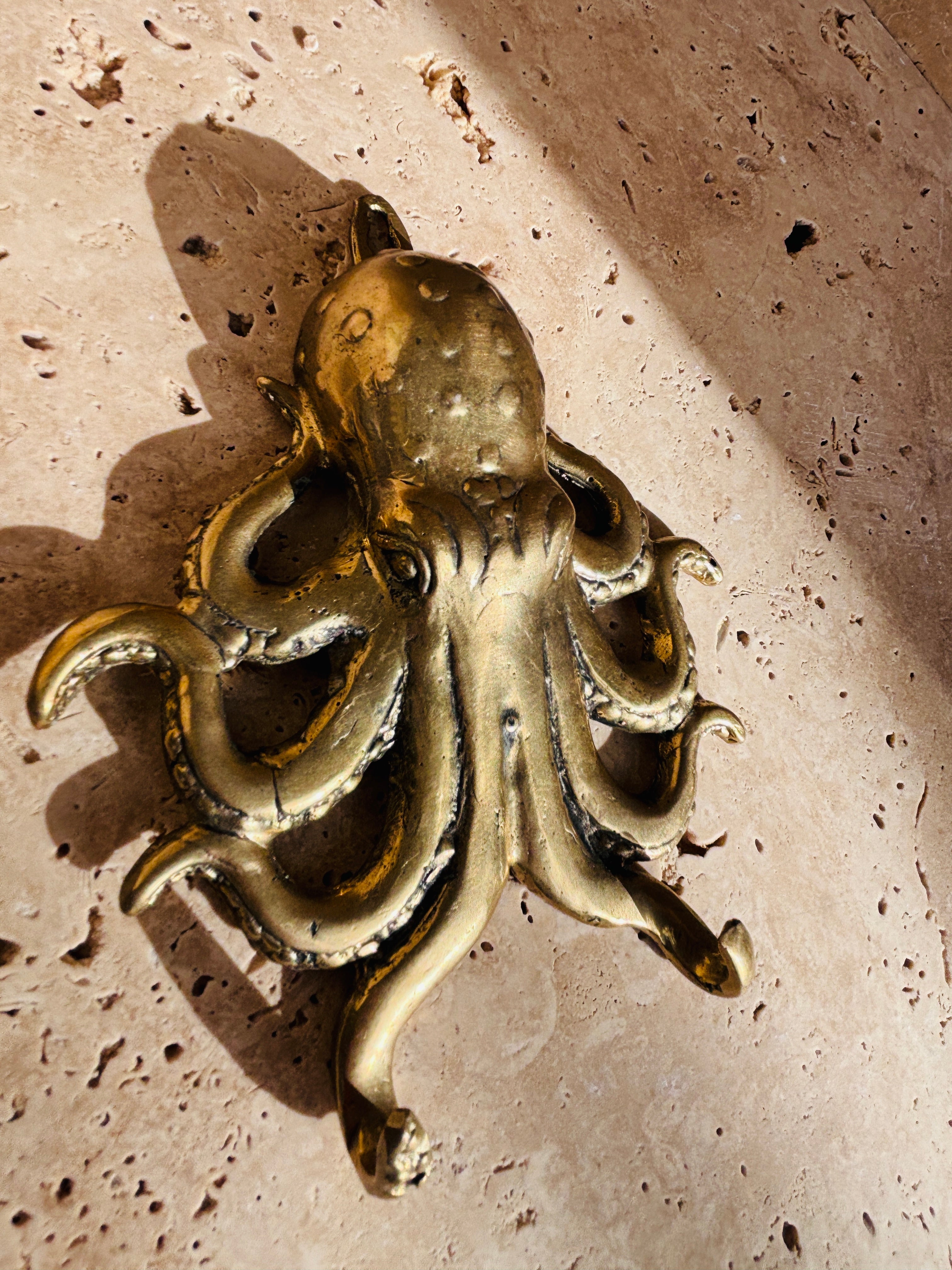 Octopus Wall Hook