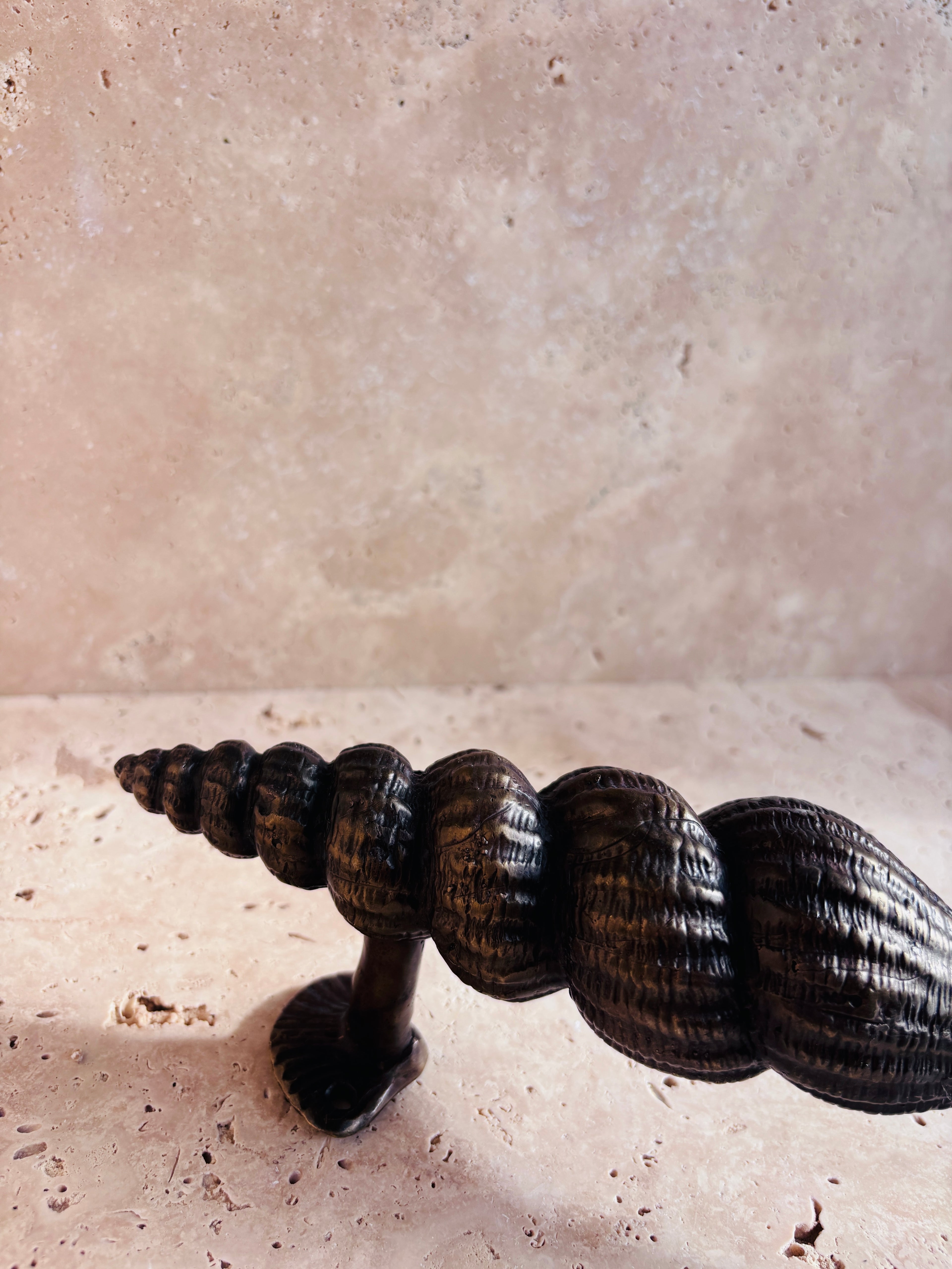 Nautilus Shell Handle