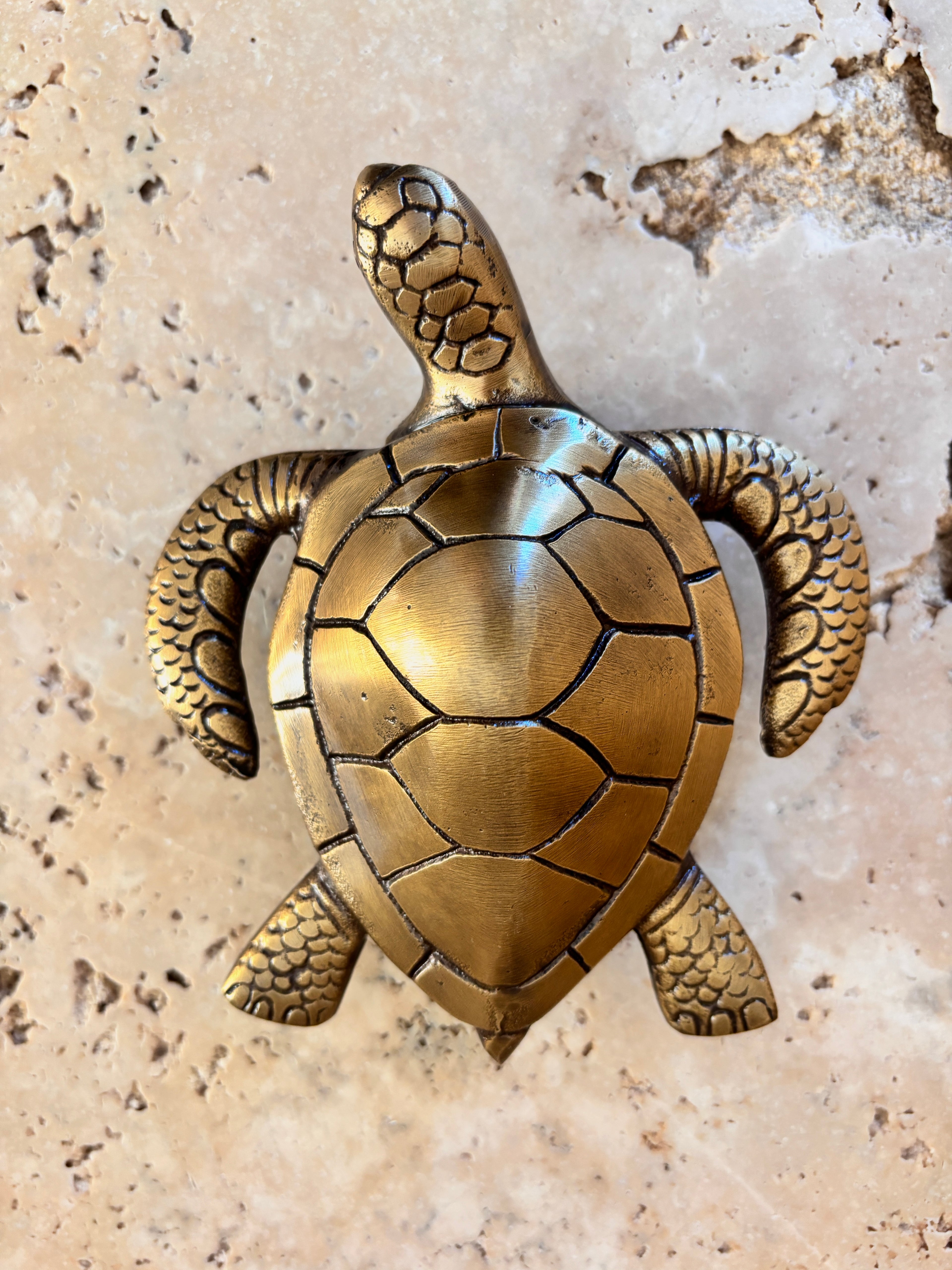 Sea Turtle Brass Door Knocker