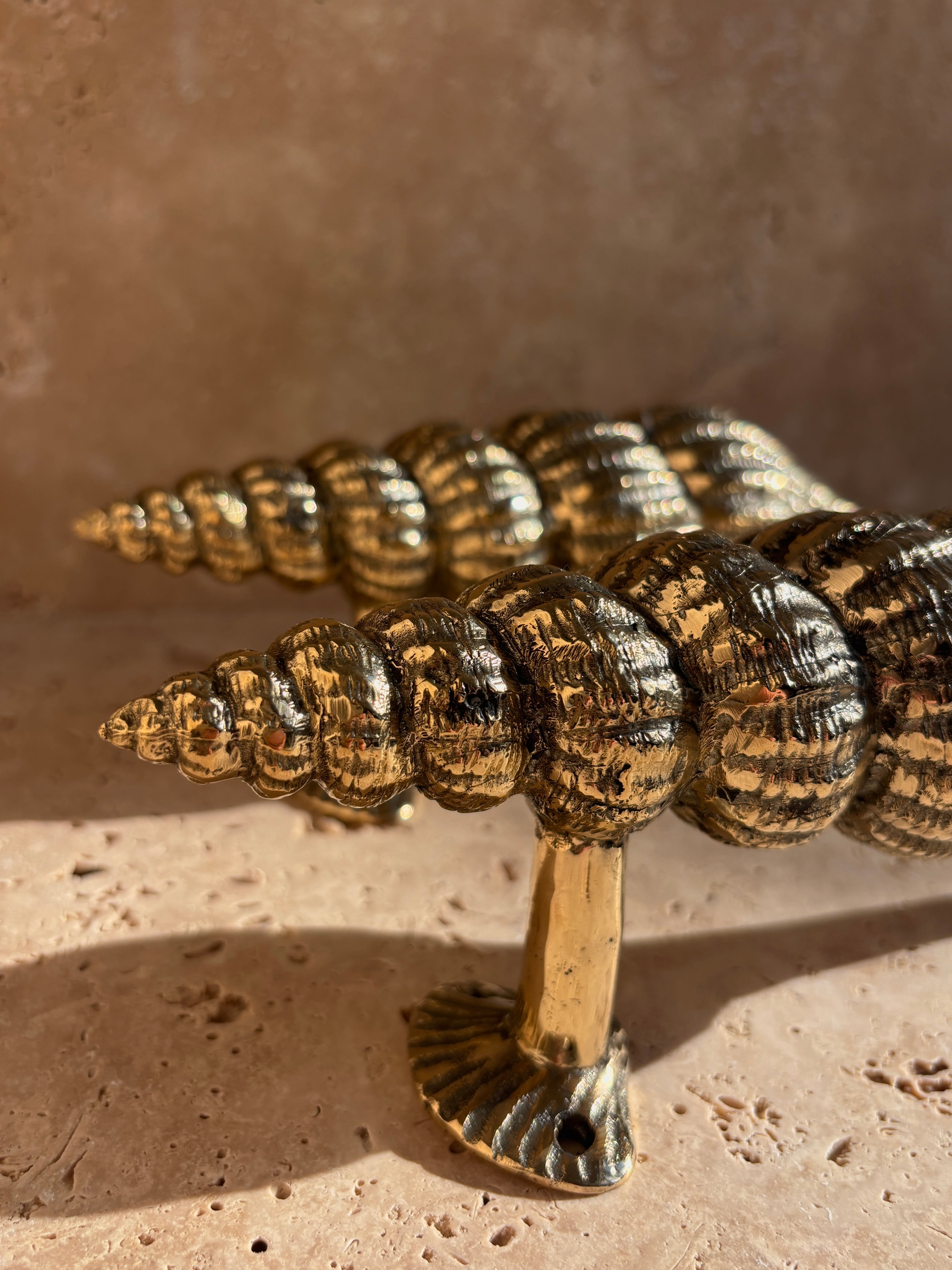 Golden Nautilus Shell Pull Handle
