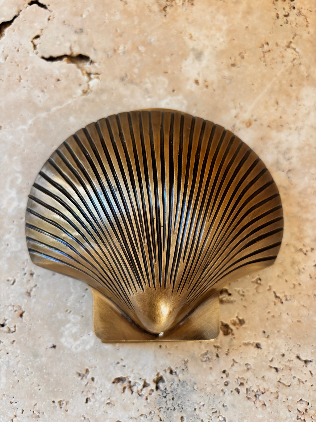 Scallop Shell Brass Door Knocker