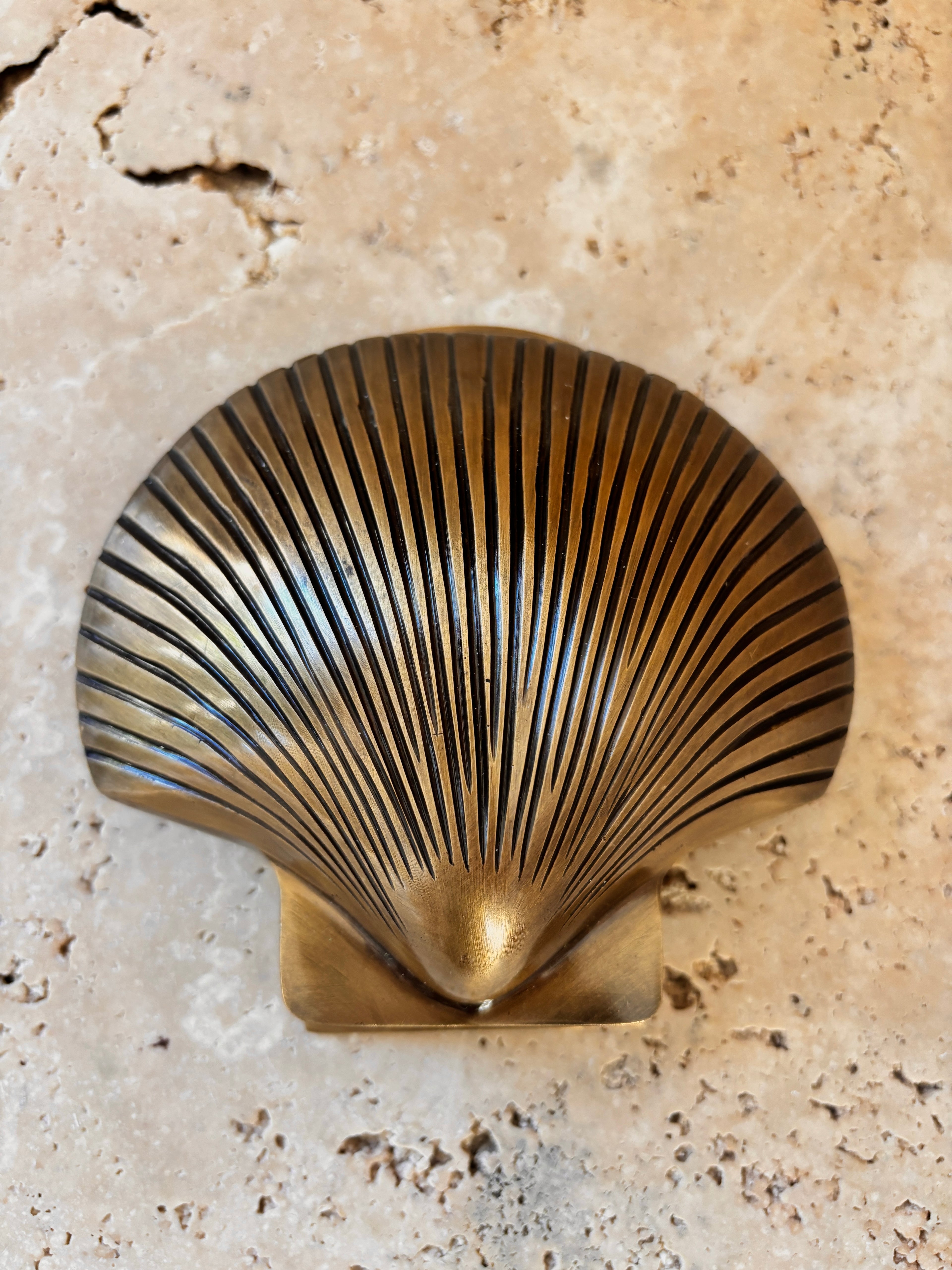 Scallop Shell Brass Door Knocker