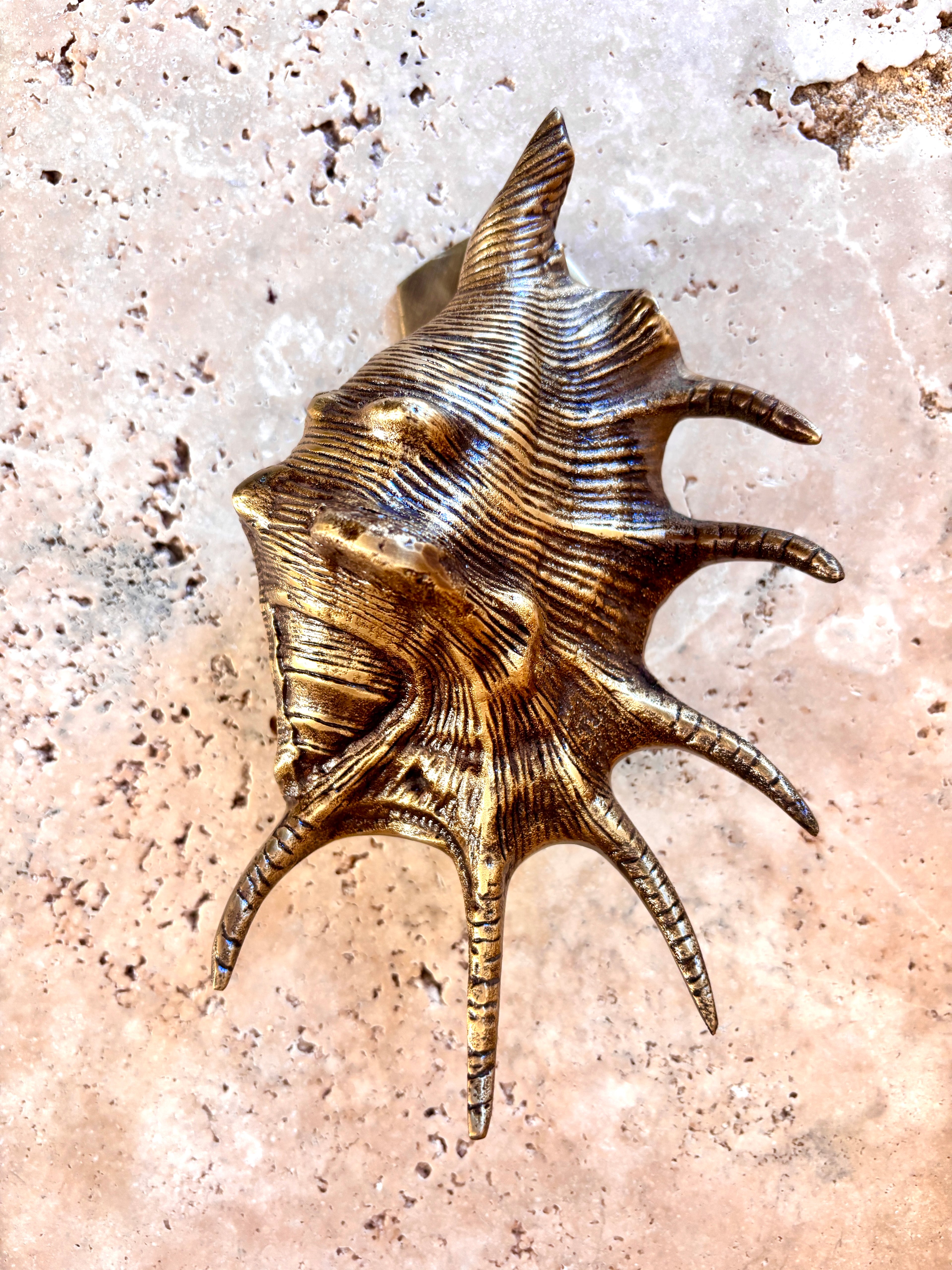 Triton Shell Brass Door Knocker