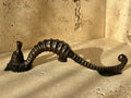 The Antique Seahorse Pull
